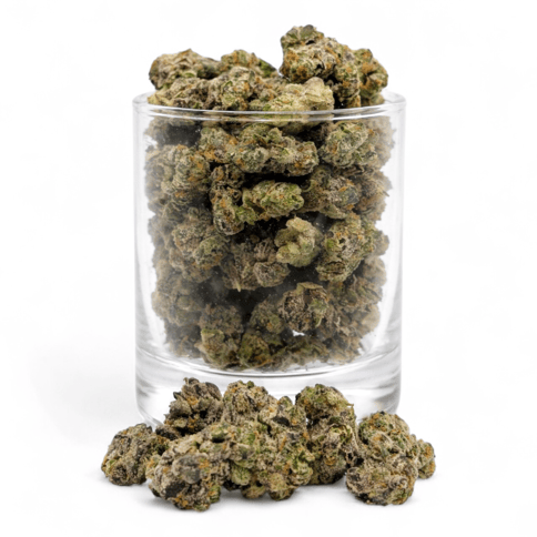 Gas Face - Indica - Gold