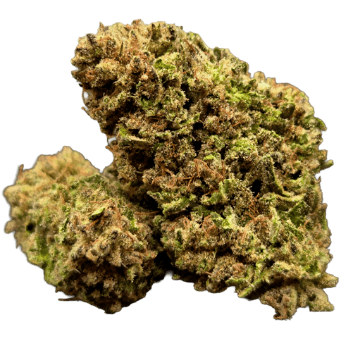 FLOWER | 11 ROSES | INDICA DOMINANT HYBRID | 1 GRAM