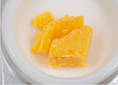 CSC - Sugar Cane - 1G Wax