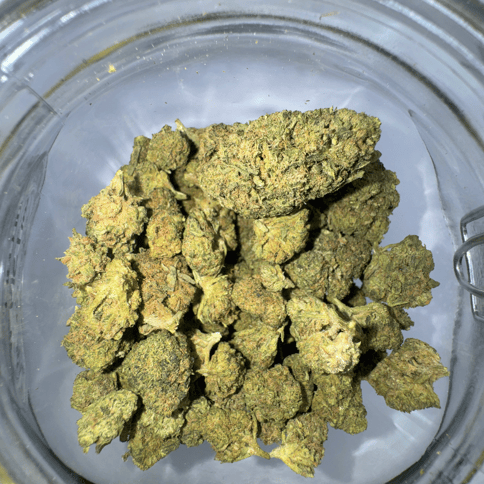 Appletini Buds