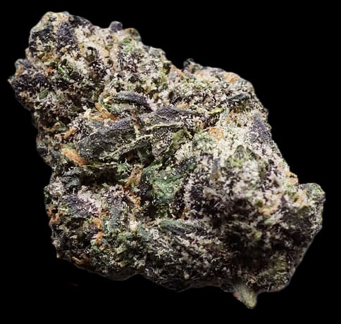 Rainbow Candy Bulk Flower