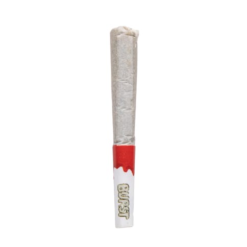 Packwoods Mini Bursts Rosin Infused Joints 5 Pack | Gelato Freeze 2.5g Rec