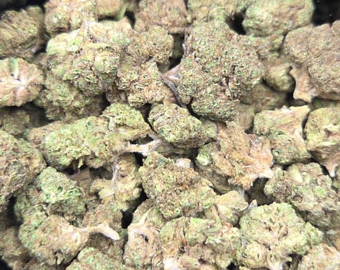 Michelada x Oreoz | 28g Greenhouse
