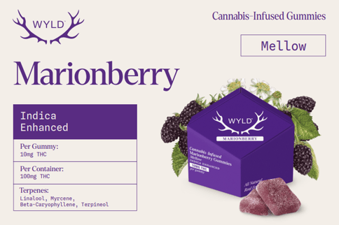 Marionberry (100mg/10pk)