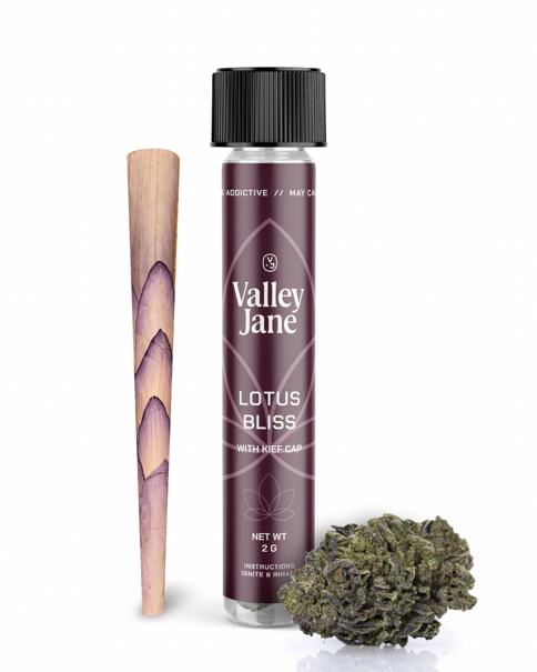 Valley Jane | Fanta Sea | Lotus Leaf 2g Preroll