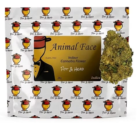Animal Face -28g - Flower - Indoor