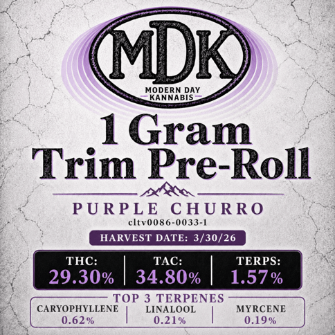 Purple Churro (H)
