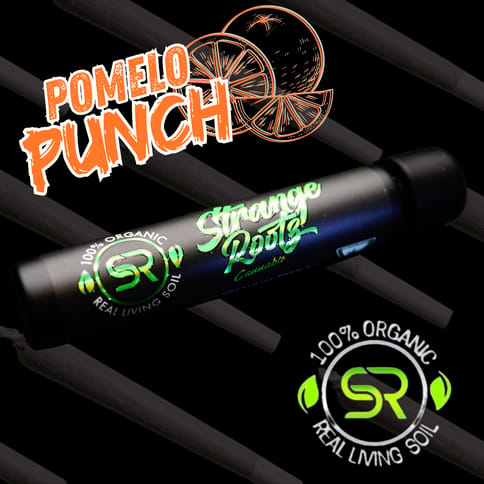 Pomelo Punch (Pre-Rolls)