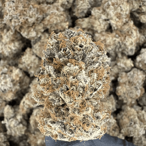 Sour Diesel