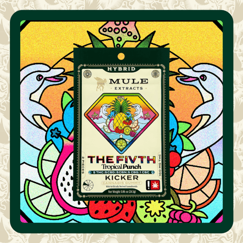 Mule | Tropical Punch Kicker "The Fivth" | 420MG | 5:5:5:5:1 | THC:CBD:CBN:CBG:CBC | 2-piece Gummy