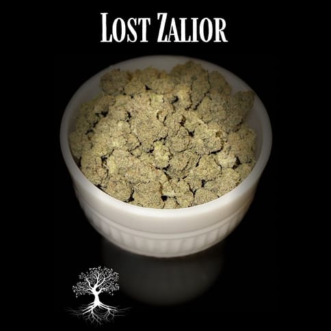 Buds- Lost Zalior