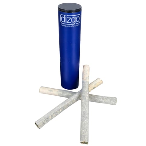 Top Gun | Preroll | Dizgo |