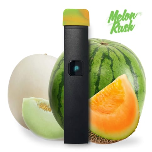 Melon Dew - 1G - All In One
