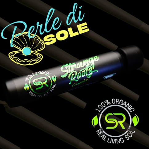 Perle Di Sole (Pre Roll)