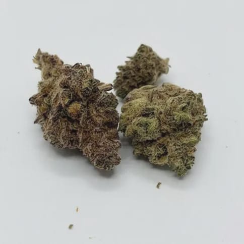 Bumper OG Pre Roll 3 Pack
