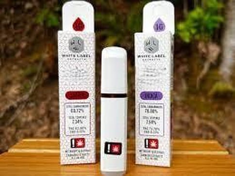 Zazhimi Face Cured Resin 1g Disposable (WLE)