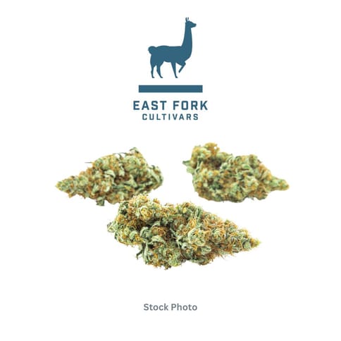 East Fork Cultivars | Elvis Sativa-Hybrid - 3.5g - Packed Flower