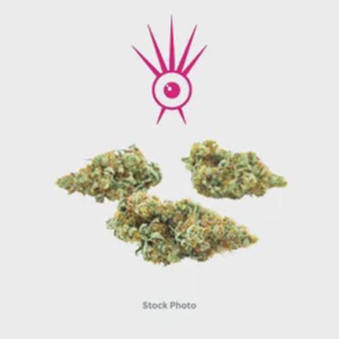 Iconic Bud | Headband - Bulk
