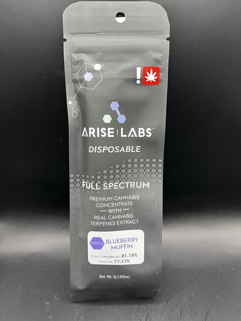 Arise | Blueberry Muffin All-In-One Distillate Vape | 1g