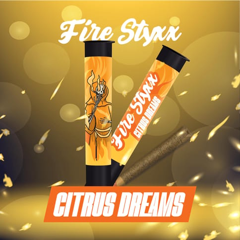 Citrus Dreams
