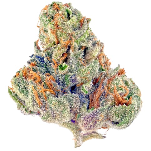 Blueberry Tahoe