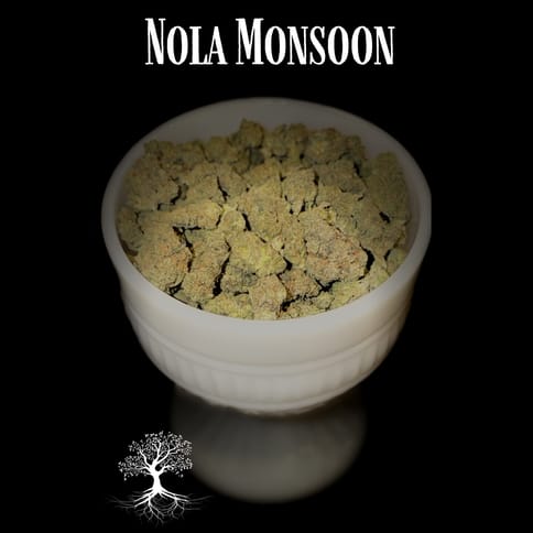 Buds - Nola Monsoon