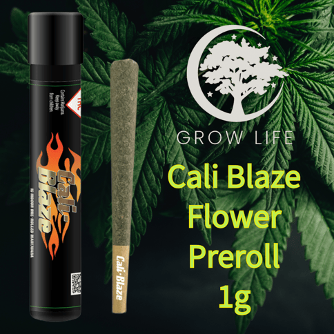 Cali Blaze Pre-Roll Blue Dream 1g (REC)