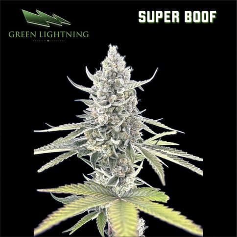 Super Boof - Smalls (7g)