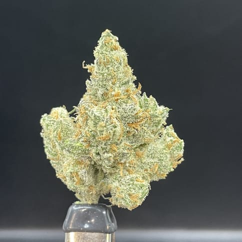 Lemon Betty (Resin Ranchers)