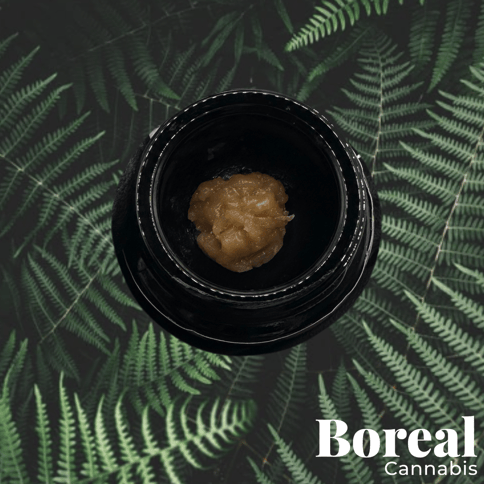 Morning Diesel | Boreal Cannabis Live Rosin 1g
