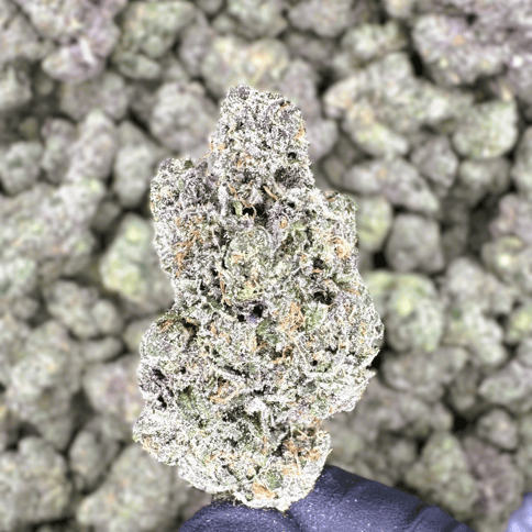 Columbian Gold