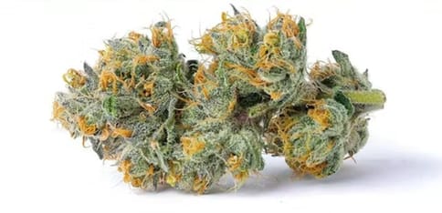 Alt Sol | Hollywood | - 3.5g