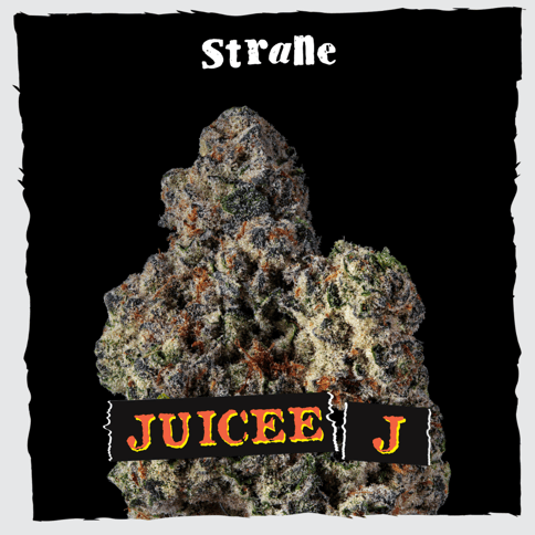 Strane | Flower | - Juicee J | 3.5g Bag