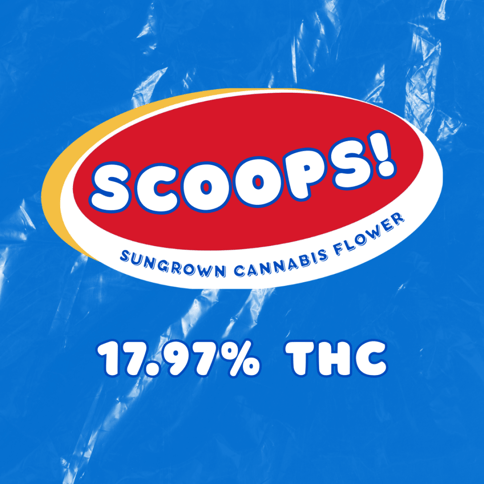 Scoops 1g/ 5pk Pre-rolls by The Cannabis Collective