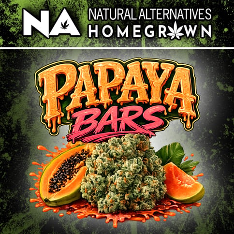 NA Papaya Bars