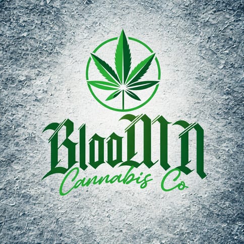 Bloomn hoodie XXL and up