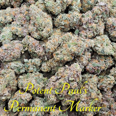 Potent Paul's Permanent Marker (0.5g) Single by Scorpion Grass