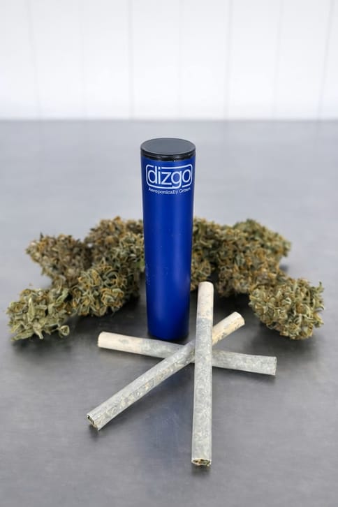 Medusa | .5g Pre Rolls | 2 ct