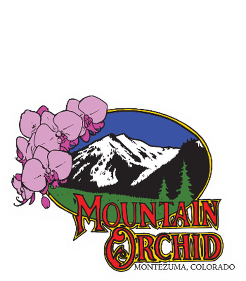 The Bazillionaire (I/H) By Mountain Orchid