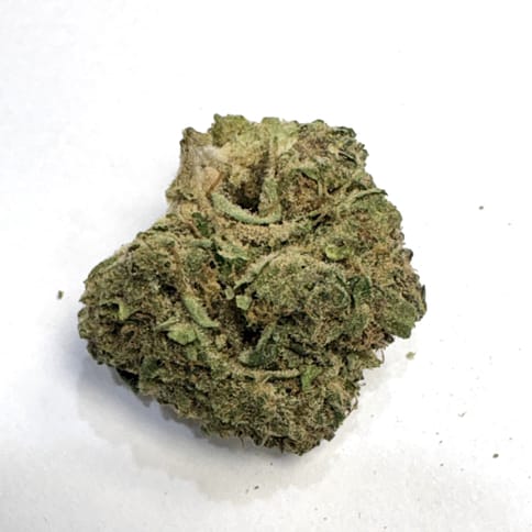 Block Berry (Wicked Flower Farms)