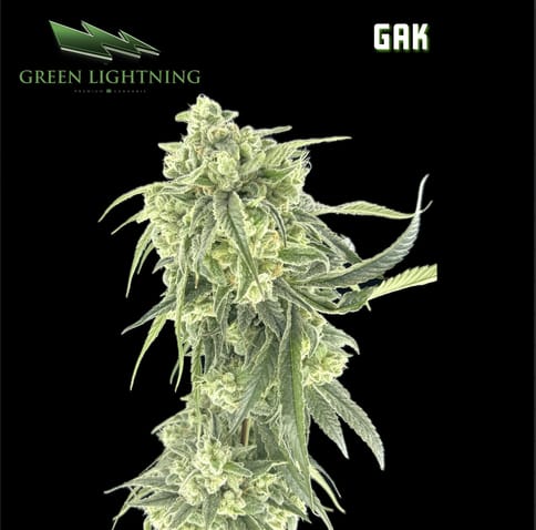 GAK (3.5g)