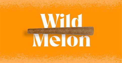 Doinks Infused Blunt | Wild Melon 1g Med