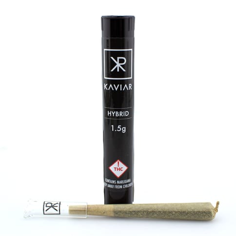 KAVIAR HYBRID - 1.5G OIL INFUSED PRE-ROLL