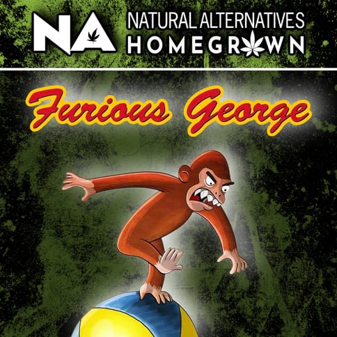 NA Furious George