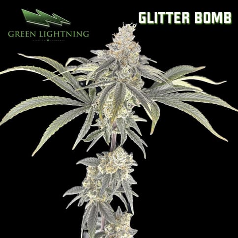 Glitter Bomb - Smalls (7g)
