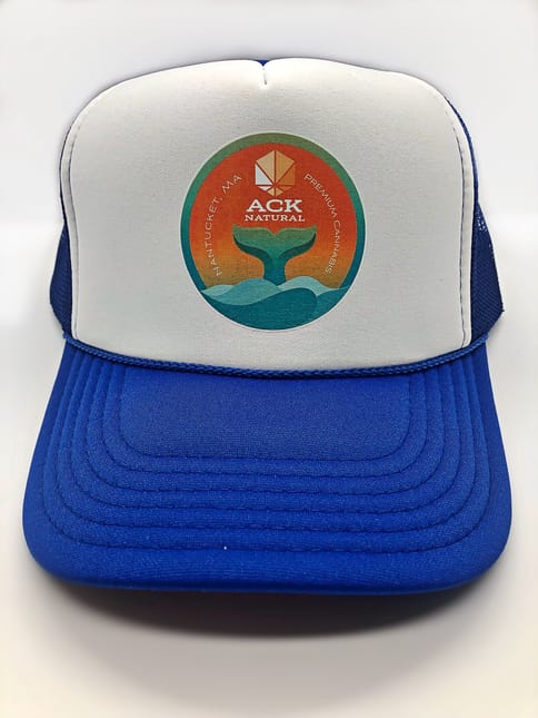 Whale Trucker Hat Bright Blue