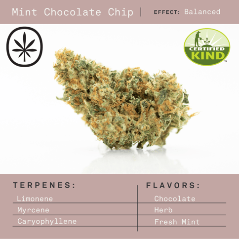 Apothecare Certified Organic Mint Chocolate Chip