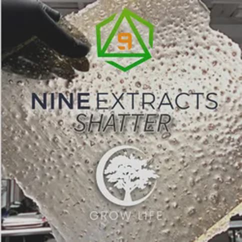 Nine Shatter Easy Bake 1g (MED)