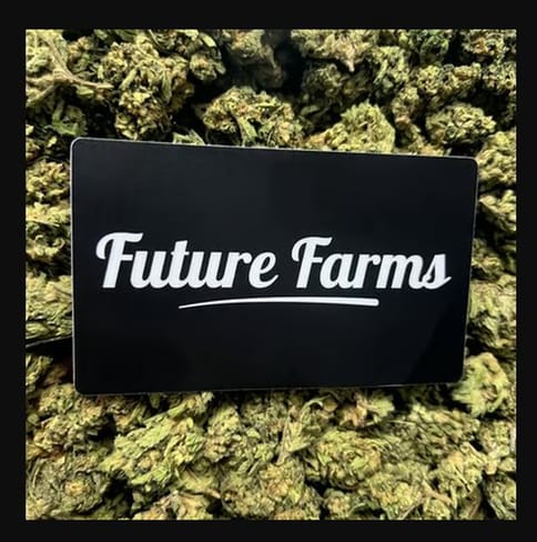Scary Cherries (Future Farms)