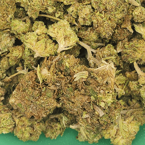 Green Co | Blueberry Lemon Poundcake | Indica-Hybrid | 28g | Flower